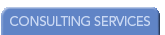 consulting services